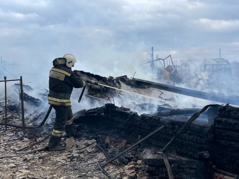 В Омской области из-за лесных пожаров ввели режим ЧС