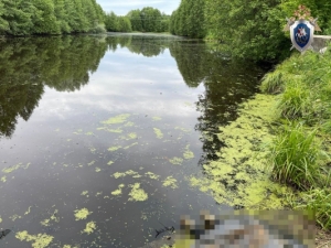 В Нижегородской области найдено тело накануне без вести пропавшего мальчика