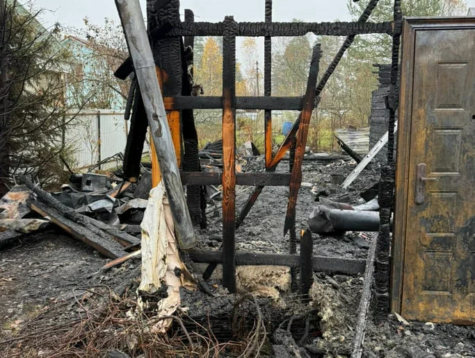 Полиция задержала жителя Сертолово за поджог дома бабушки