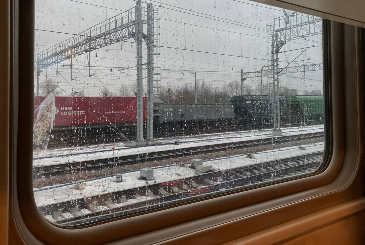 Кот Федос путешествовал «зайцем» на поезде через пол-России